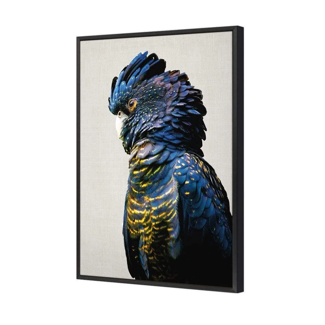 Lady Black Cocky Lady Black Cocky -WALL ART DESGIN SALE lady black cocky canvas black floating frame 45x30cm 831716