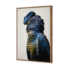 Lady Black Cocky 7 Lady Black Cocky -WALL ART DESGIN SALE lady black cocky canvas natural floating frame 45x30cm 234398