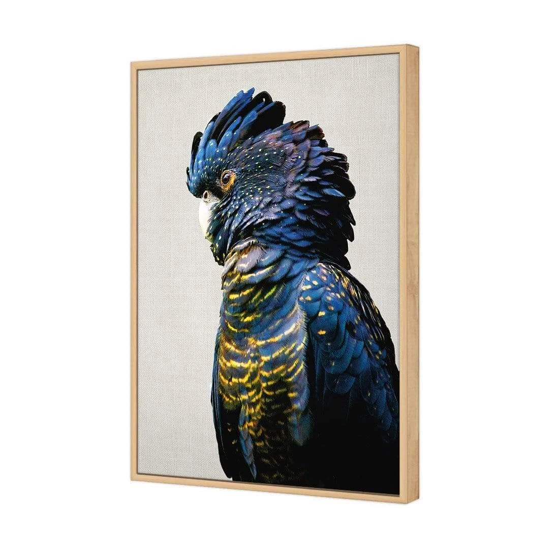 Lady Black Cocky Lady Black Cocky -WALL ART DESGIN SALE lady black cocky canvas oak floating frame 45x30cm 452260