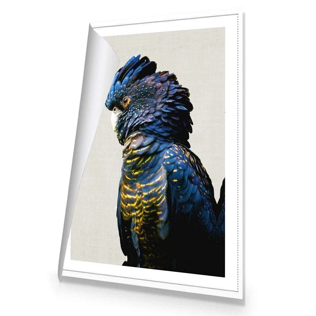 Lady Black Cocky Lady Black Cocky -WALL ART DESGIN SALE lady black cocky canvas rolled canvas 45x30cm 257214