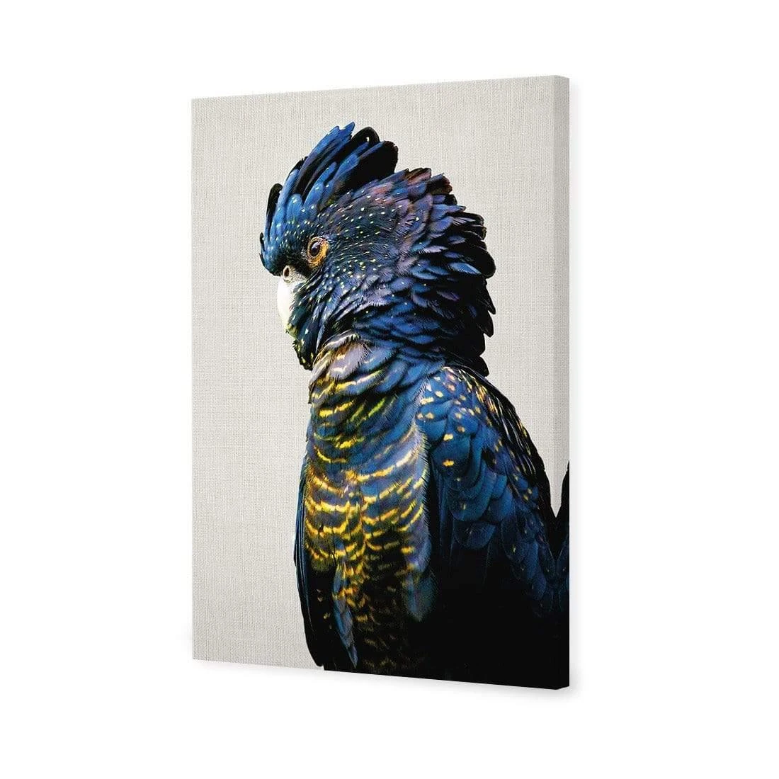 Lady Black Cocky Lady Black Cocky -WALL ART DESGIN SALE lady black cocky canvas stretched canvas 45x30cm 350003