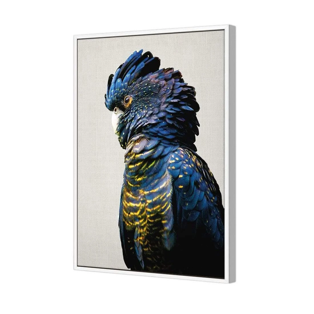 Lady Black Cocky Lady Black Cocky -WALL ART DESGIN SALE lady black cocky canvas white floating frame 45x30cm 587988