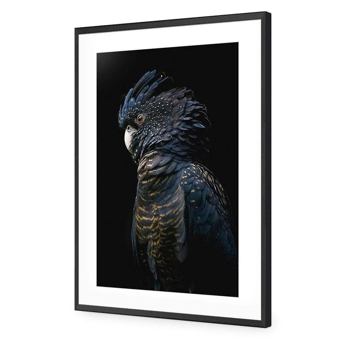 Lady Black Cocky, Dark Lady Black Cocky, Dark -WALL ART DESGIN SALE lady black cocky dark canvas stretched canvas 45x30cm 116914