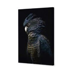Lady Black Cocky, Dark 4 Lady Black Cocky, Dark -WALL ART DESGIN SALE lady black cocky dark canvas stretched canvas 45x30cm 216547