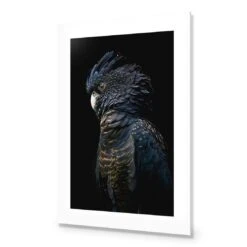 Lady Black Cocky, Dark 10 Lady Black Cocky, Dark -WALL ART DESGIN SALE lady black cocky dark canvas stretched canvas 45x30cm 236447