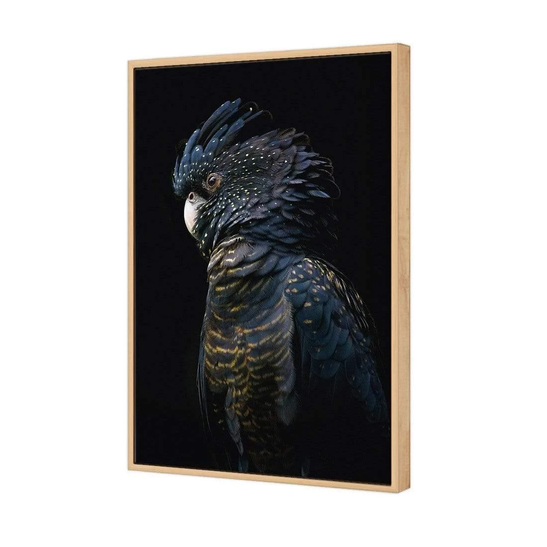 Lady Black Cocky, Dark Lady Black Cocky, Dark -WALL ART DESGIN SALE lady black cocky dark canvas stretched canvas 45x30cm 432779