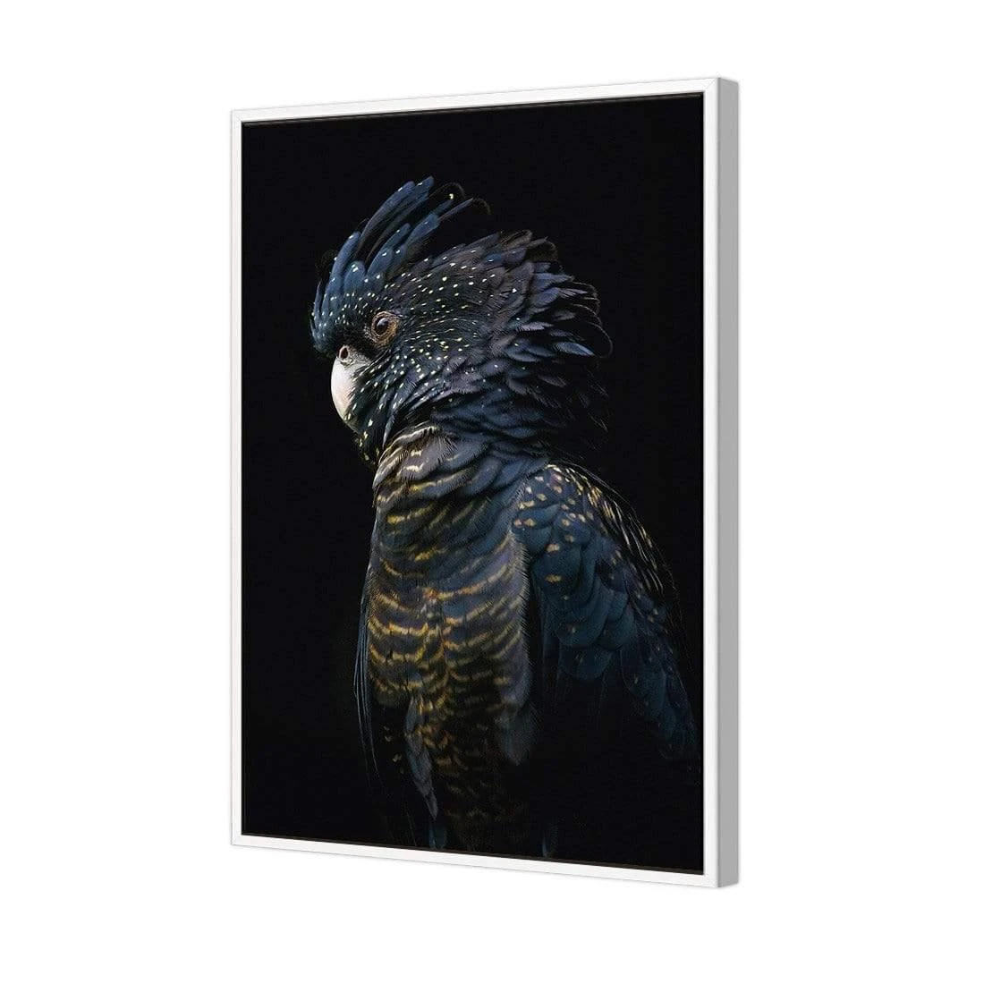 Lady Black Cocky, Dark Lady Black Cocky, Dark -WALL ART DESGIN SALE lady black cocky dark canvas stretched canvas 45x30cm 459061