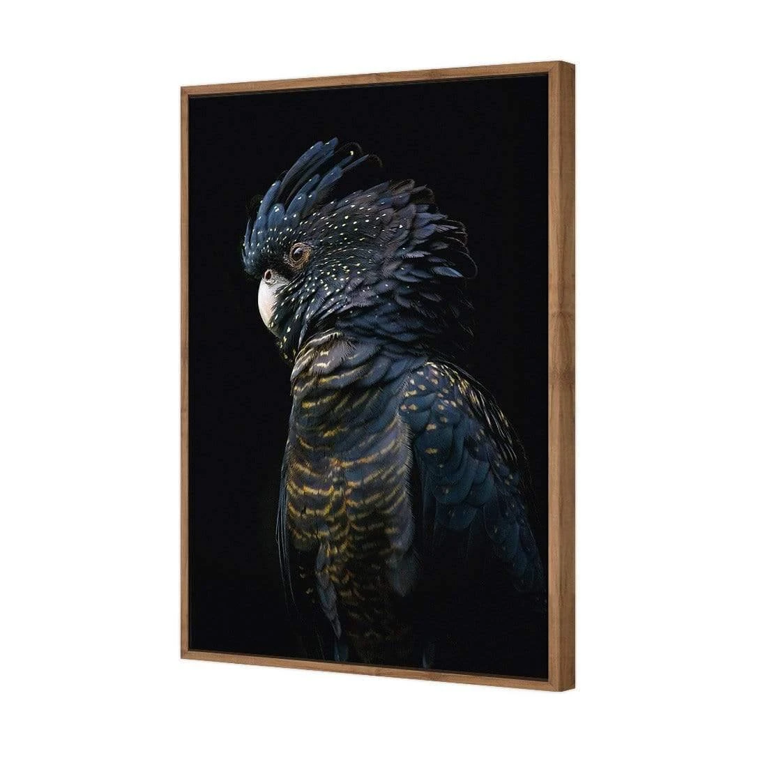 Lady Black Cocky, Dark Lady Black Cocky, Dark -WALL ART DESGIN SALE lady black cocky dark canvas stretched canvas 45x30cm 474771