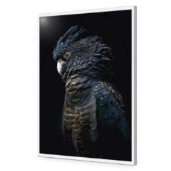 Lady Black Cocky, Dark 17 Lady Black Cocky, Dark -WALL ART DESGIN SALE lady black cocky dark canvas stretched canvas 45x30cm 476009