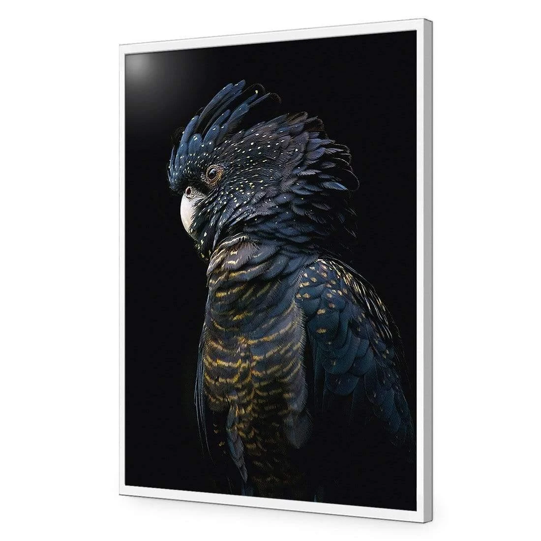 Lady Black Cocky, Dark Lady Black Cocky, Dark -WALL ART DESGIN SALE lady black cocky dark canvas stretched canvas 45x30cm 476009