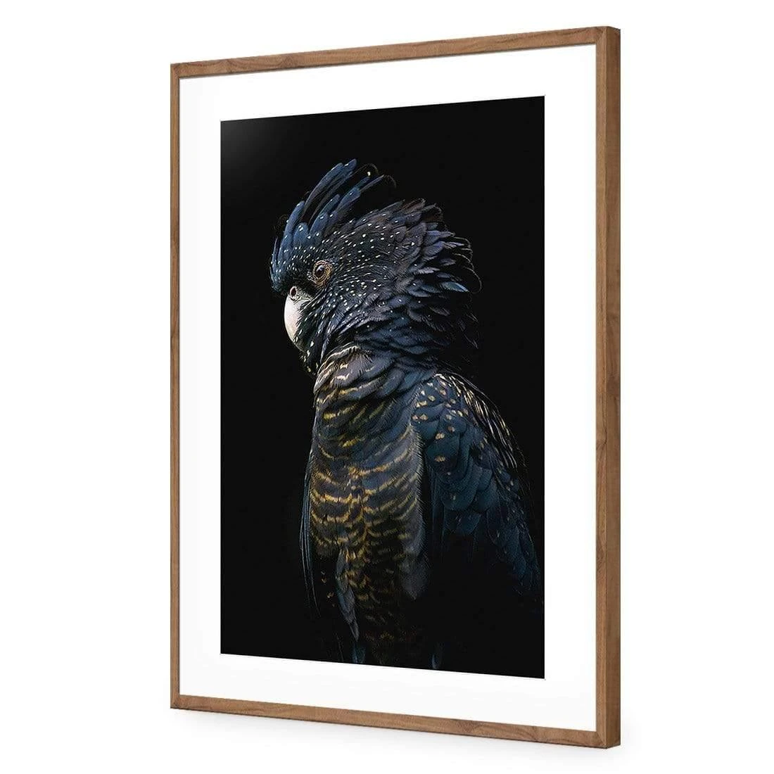 Lady Black Cocky, Dark Lady Black Cocky, Dark -WALL ART DESGIN SALE lady black cocky dark canvas stretched canvas 45x30cm 478808