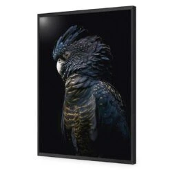 Lady Black Cocky, Dark 16 Lady Black Cocky, Dark -WALL ART DESGIN SALE lady black cocky dark canvas stretched canvas 45x30cm 710855