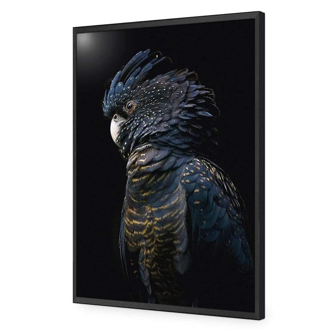 Lady Black Cocky, Dark Lady Black Cocky, Dark -WALL ART DESGIN SALE lady black cocky dark canvas stretched canvas 45x30cm 710855