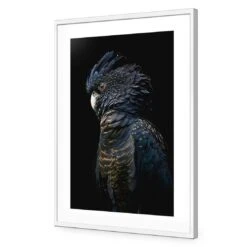 Lady Black Cocky, Dark 12 Lady Black Cocky, Dark -WALL ART DESGIN SALE lady black cocky dark canvas stretched canvas 45x30cm 750167