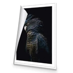 Lady Black Cocky, Dark 9 Lady Black Cocky, Dark -WALL ART DESGIN SALE lady black cocky dark canvas stretched canvas 45x30cm 905962