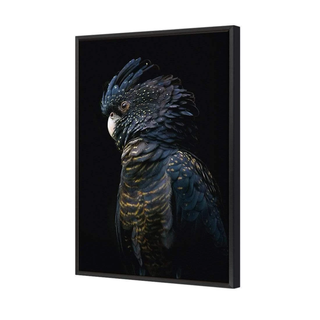 Lady Black Cocky, Dark Lady Black Cocky, Dark -WALL ART DESGIN SALE lady black cocky dark canvas stretched canvas 45x30cm 906478