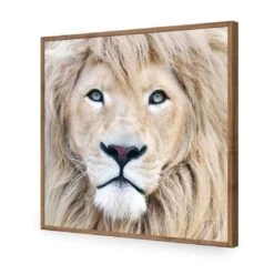 Leo -WALL ART DESGIN SALE leo acrylic glass no border natural frame 37x37cm 761562
