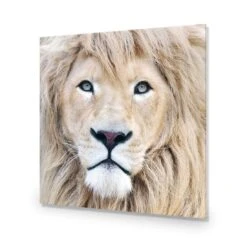 Leo -WALL ART DESGIN SALE leo acrylic glass no border no frame 37x37cm 304590