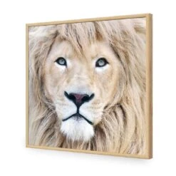 Leo -WALL ART DESGIN SALE leo acrylic glass no border oak frame 37x37cm 958596