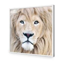 Leo -WALL ART DESGIN SALE leo acrylic glass no border white frame 37x37cm 426257