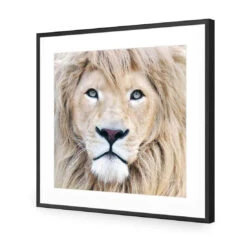 Leo -WALL ART DESGIN SALE leo acrylic glass with border black frame 37x37cm 271761