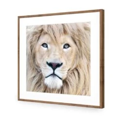 Leo -WALL ART DESGIN SALE leo acrylic glass with border natural frame 37x37cm 426954
