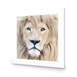 Leo -WALL ART DESGIN SALE leo acrylic glass with border no frame 37x37cm 813618
