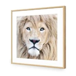 Leo -WALL ART DESGIN SALE leo acrylic glass with border oak frame 37x37cm 330263