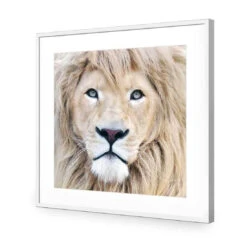 Leo -WALL ART DESGIN SALE leo acrylic glass with border white frame 37x37cm 168354