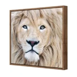 Leo -WALL ART DESGIN SALE leo canvas natural floating frame 37x37cm 404126