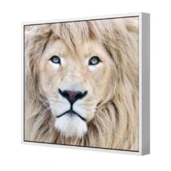 Leo -WALL ART DESGIN SALE leo canvas white floating frame 37x37cm 372171