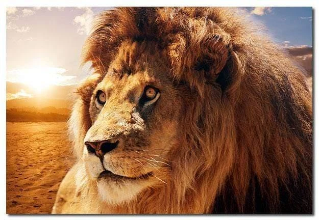 Lion King Lion King -WALL ART DESGIN SALE lion king canvas stretched canvas 45x30cm 416060