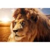 Lion King 2 Lion King -WALL ART DESGIN SALE lion king canvas stretched canvas 45x30cm 497490