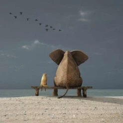 Little And Large, Square Acrylic Print Art