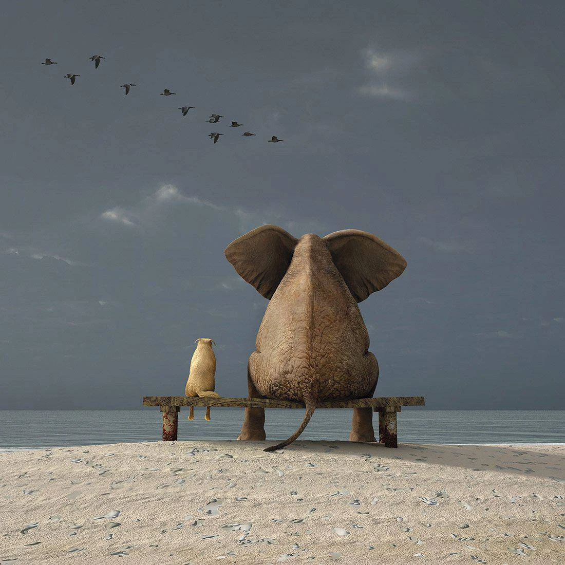 Little And Large Square Canvas Art Little And Large Square Canvas Art -WALL ART DESGIN SALE little and large square canvas art 30x30cm no frame 133638