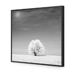 Lonely Snow Tree, Black And White (Square) 15 Lonely Snow Tree, Black And White (Square) -WALL ART DESGIN SALE lonely snow tree black and white square acrylic glass no border black frame 37x37cm 630958