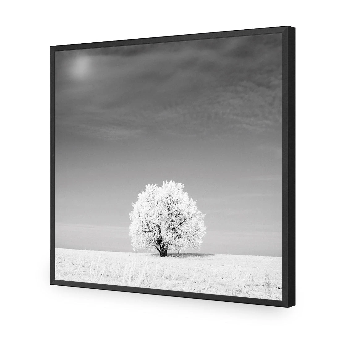 Lonely Snow Tree, Black and White (Square) Lonely Snow Tree, Black And White (Square) -WALL ART DESGIN SALE lonely snow tree black and white square acrylic glass no border black frame 37x37cm 630958