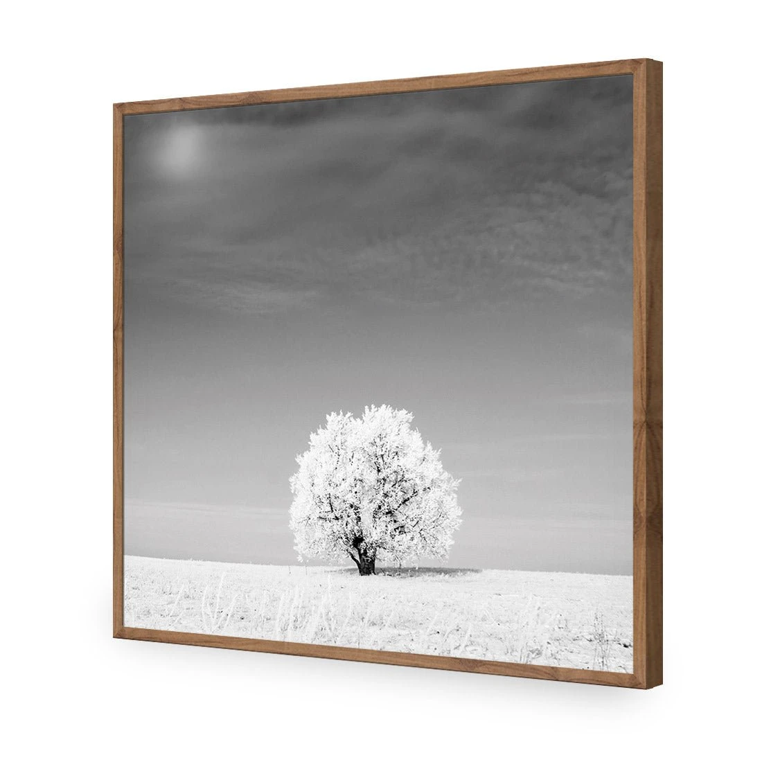 Lonely Snow Tree, Black and White (Square) Lonely Snow Tree, Black And White (Square) -WALL ART DESGIN SALE lonely snow tree black and white square acrylic glass no border natural frame 37x37cm 866933