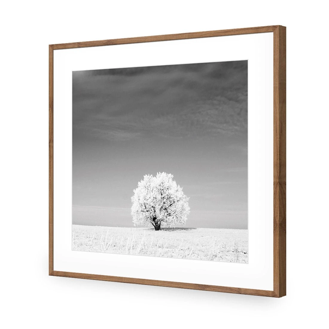 Lonely Snow Tree, Black and White (Square) Lonely Snow Tree, Black And White (Square) -WALL ART DESGIN SALE lonely snow tree black and white square acrylic glass with border natural frame 37x37cm 960727