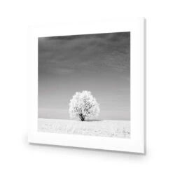 Lonely Snow Tree, Black And White (Square) 9 Lonely Snow Tree, Black And White (Square) -WALL ART DESGIN SALE lonely snow tree black and white square acrylic glass with border no frame 37x37cm 615105