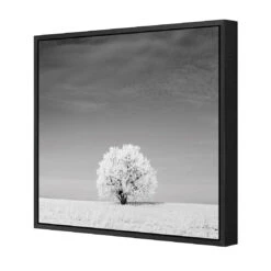 Lonely Snow Tree, Black And White (Square) 4 Lonely Snow Tree, Black And White (Square) -WALL ART DESGIN SALE lonely snow tree black and white square canvas black floating frame 37x37cm 813022