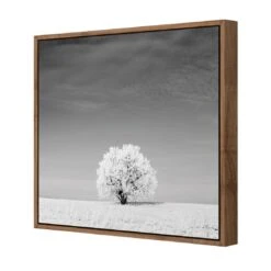 Lonely Snow Tree, Black And White (Square) 7 Lonely Snow Tree, Black And White (Square) -WALL ART DESGIN SALE lonely snow tree black and white square canvas natural floating frame 37x37cm 407432