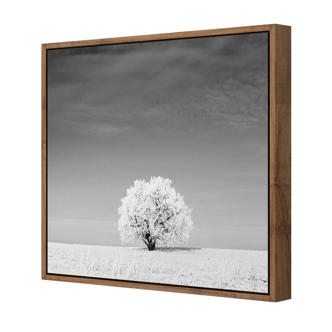 Lonely Snow Tree, Black and White (Square) Lonely Snow Tree, Black And White (Square) -WALL ART DESGIN SALE lonely snow tree black and white square canvas natural floating frame 37x37cm 407432