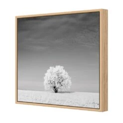 Lonely Snow Tree, Black And White (Square) 6 Lonely Snow Tree, Black And White (Square) -WALL ART DESGIN SALE lonely snow tree black and white square canvas oak floating frame 37x37cm 154071