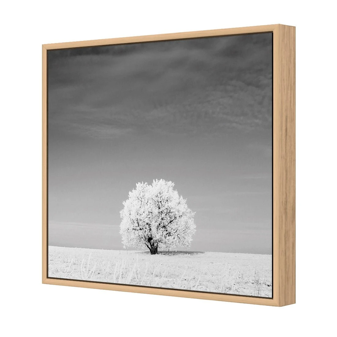 Lonely Snow Tree, Black and White (Square) Lonely Snow Tree, Black And White (Square) -WALL ART DESGIN SALE lonely snow tree black and white square canvas oak floating frame 37x37cm 154071