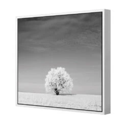 Lonely Snow Tree, Black And White (Square) 5 Lonely Snow Tree, Black And White (Square) -WALL ART DESGIN SALE lonely snow tree black and white square canvas white floating frame 37x37cm 945434