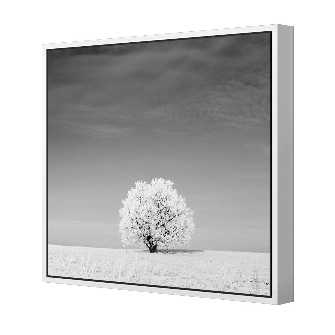 Lonely Snow Tree, Black and White (Square) Lonely Snow Tree, Black And White (Square) -WALL ART DESGIN SALE lonely snow tree black and white square canvas white floating frame 37x37cm 945434