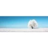 Lonely Snow Tree (Long) 1 Lonely Snow Tree (Long) -WALL ART DESGIN SALE lonely snow tree long canvas stretched canvas 60x20cm 277952