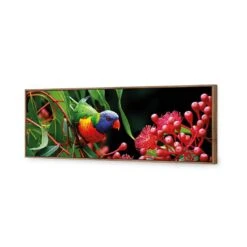 Lorikeet On Red Gum, Long Canvas Art -WALL ART DESGIN SALE lorikeet on red gum long canvas art 60x20cm natural frame 974591