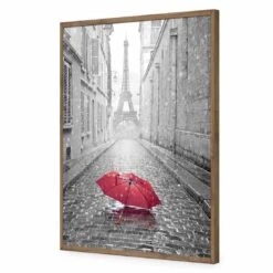 Lost Umbrella In Paris, Red Acrylic Print Art 11 Lost Umbrella In Paris, Red Acrylic Print Art -WALL ART DESGIN SALE lost umbrella in paris red acrylic print art without border natural frame 45x30cm 511780